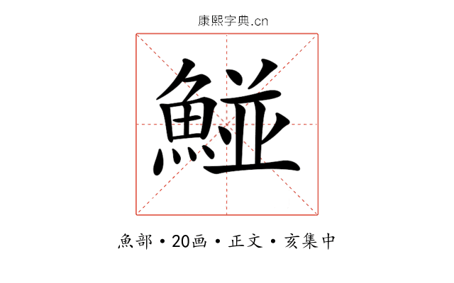 𩹁