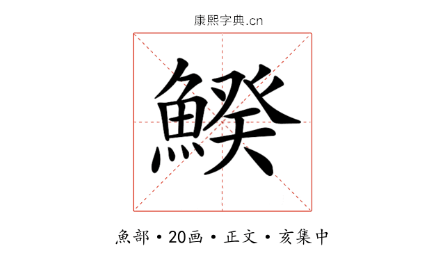 𩹍