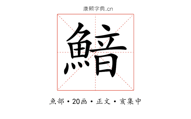 𩹎