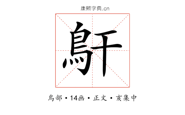 𩾝