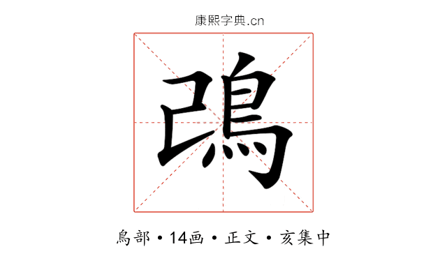 𩾠
