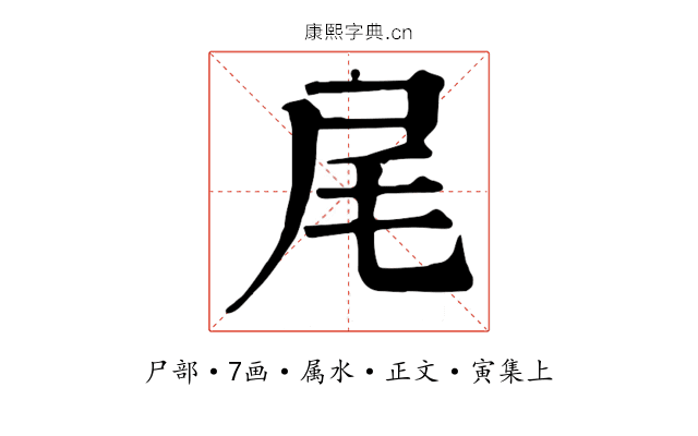 尾
