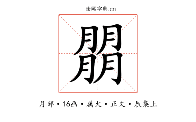 朤