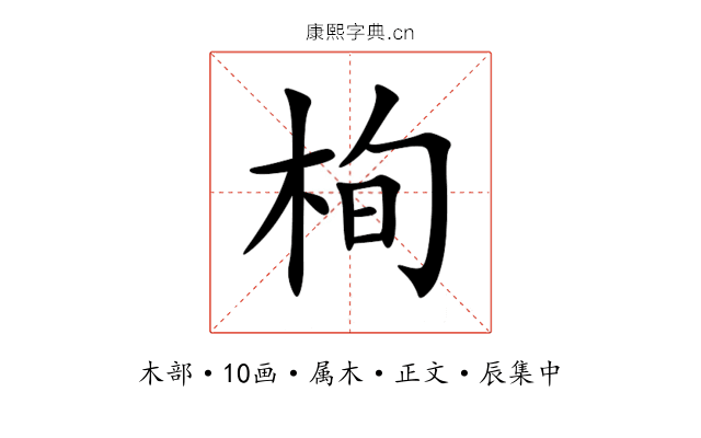 栒