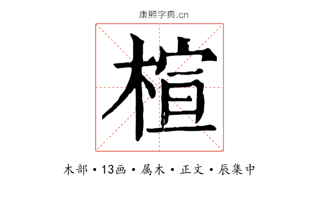 楦