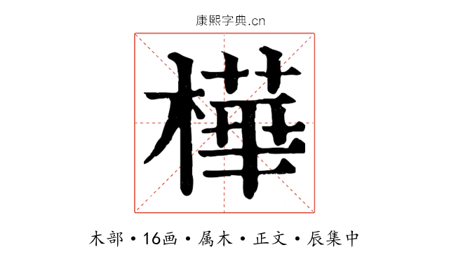 樺