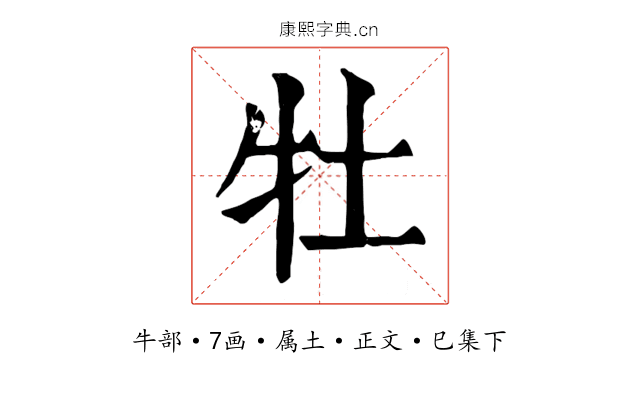 牡