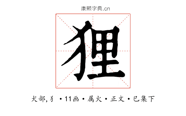 狸