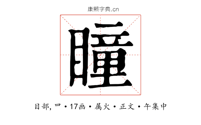 瞳