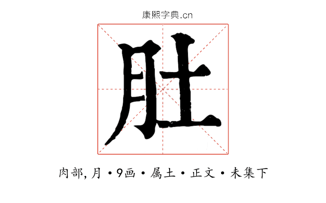 肚