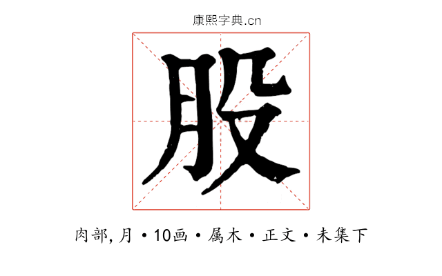 股