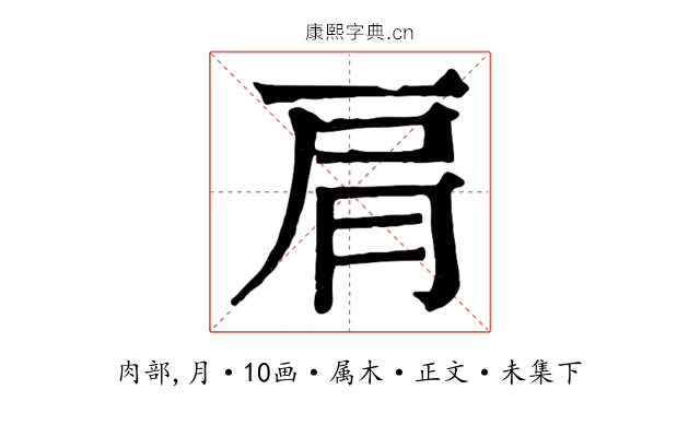 肩