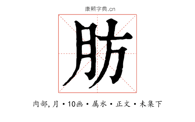 肪