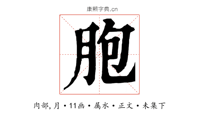 胞