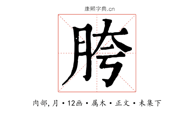 胯