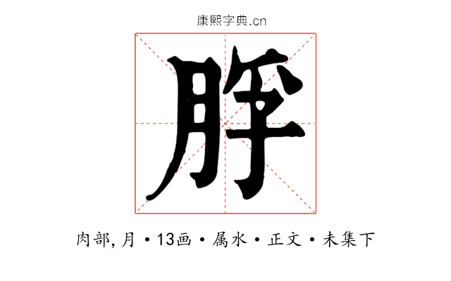 脬
