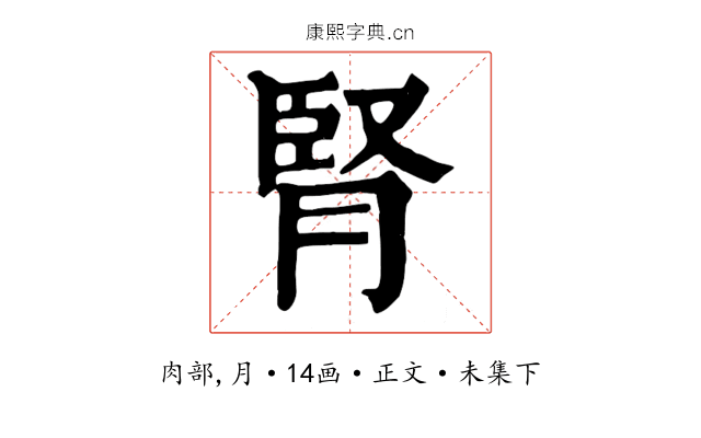 腎