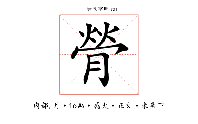 膋