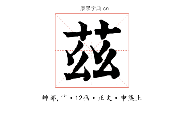 茲