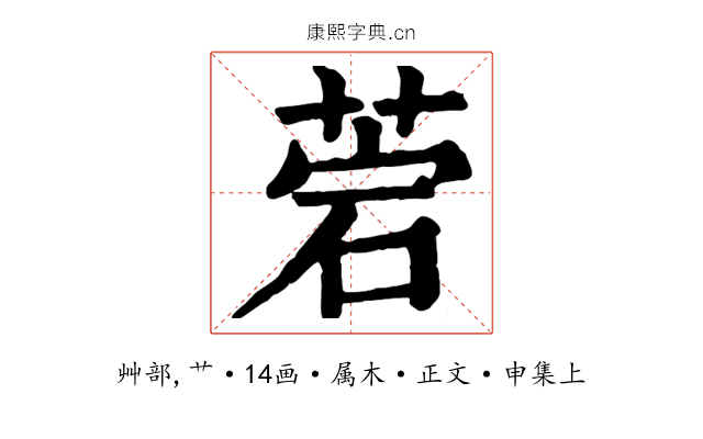 菪