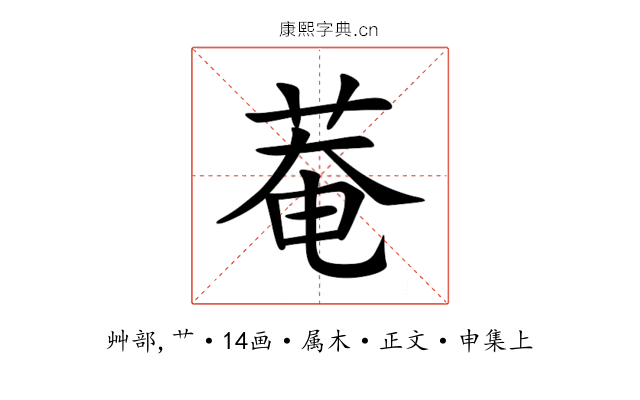 菴