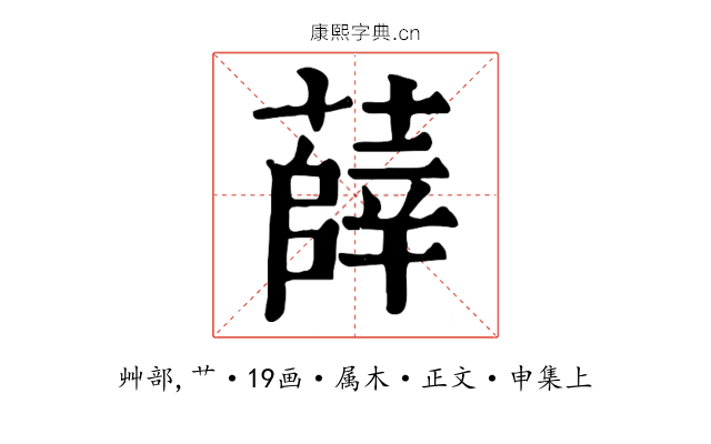 薛