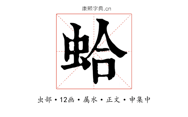 蛤