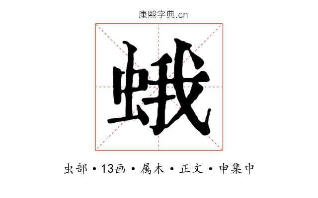 蛾