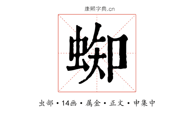 蜘