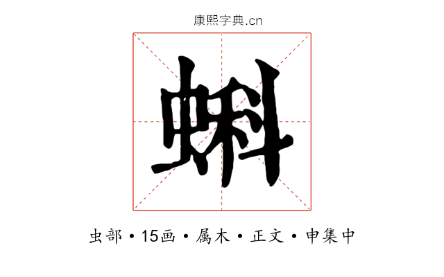 蝌