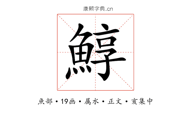 鯙