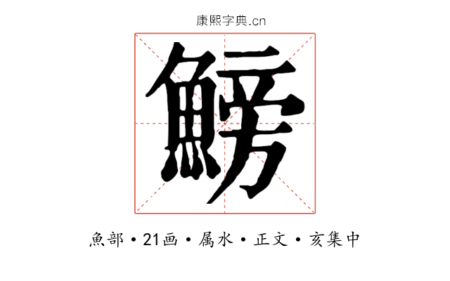 鰟
