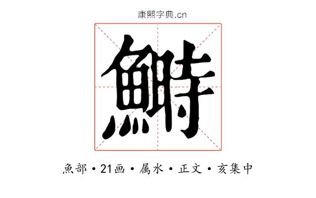 鰣