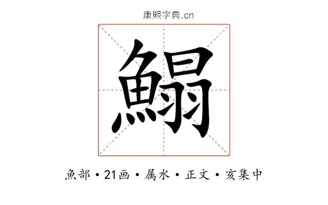 鰨