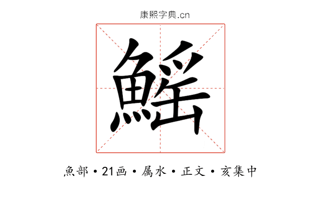 鰩
