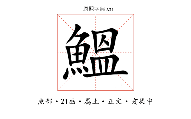 鰮