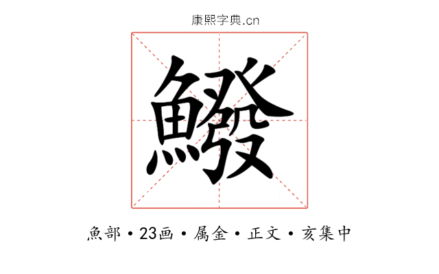 鱍