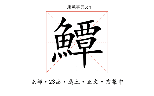 鱏