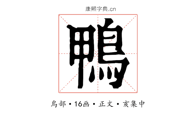 鴨