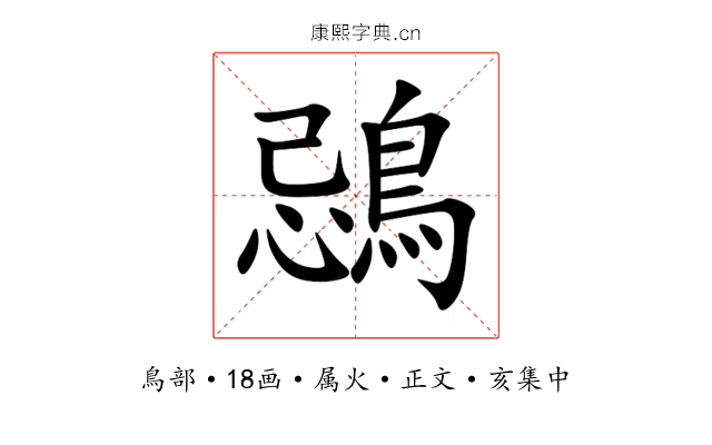 鵋