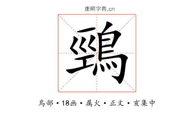 鵛