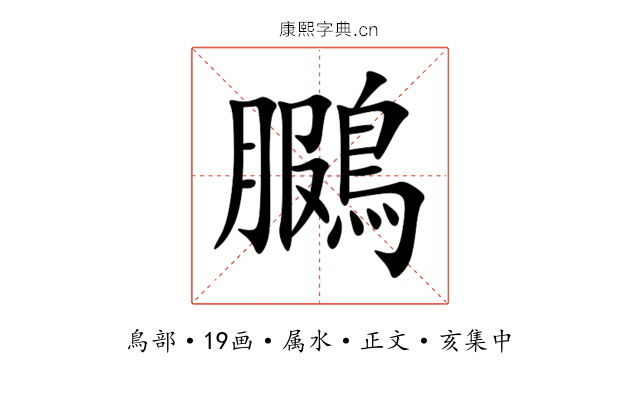鵩