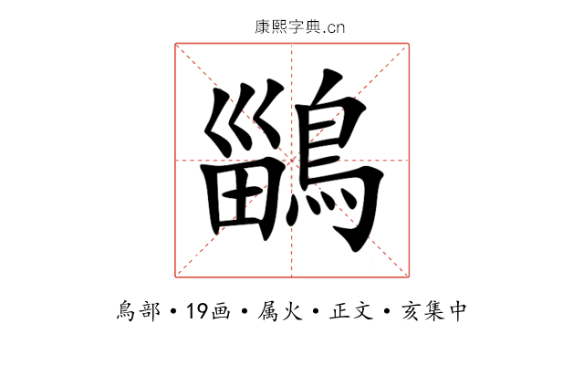 鶅