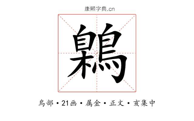 鷍