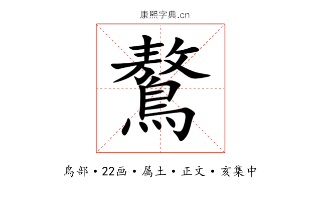 鷔