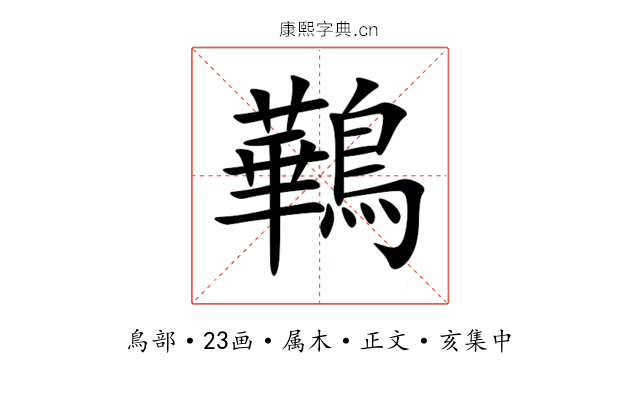 鷨