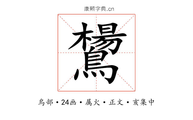 鸉