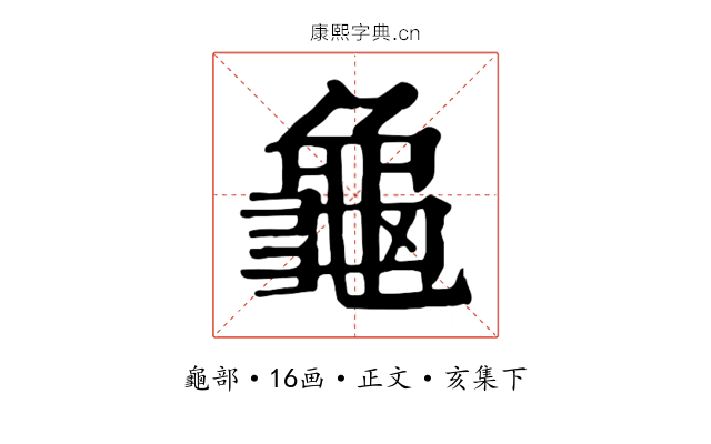 龜