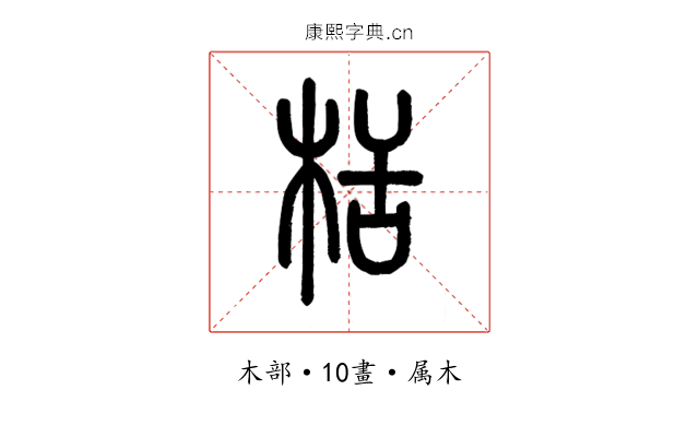 栝