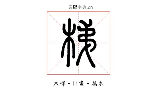 梯